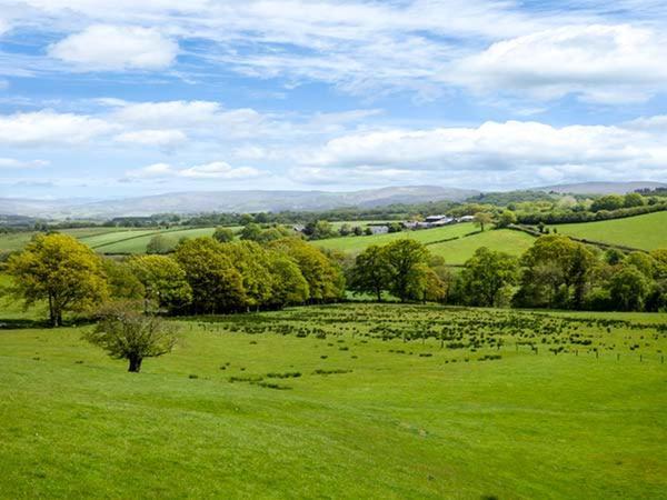 Black Mountain View Llanafan-fawr Zewnętrze zdjęcie